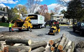 Best Tree Trimming and Pruning  in Northwest Harbor, NY