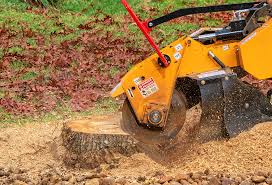 Best Weed Control  in Northwest Harbor, NY