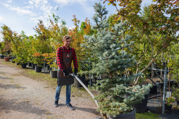 Best Tree Preservation Services  in Northwest Harbor, NY